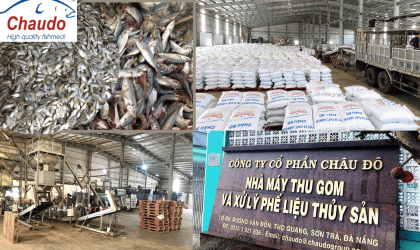 From fresh marine resources to international markets