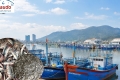 Kiểm soát chất lượng xuyên suốt