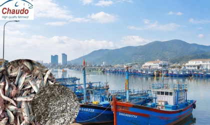 Kiểm soát chất lượng xuyên suốt