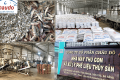 Từ nguồn cá tươi đến thị trường quốc tế
